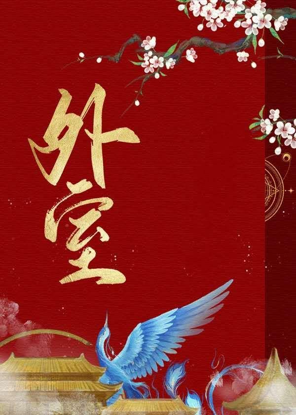 外室是什么意思