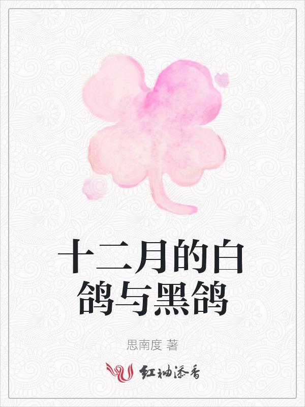 黑鸽子贵还是白鸽子贵