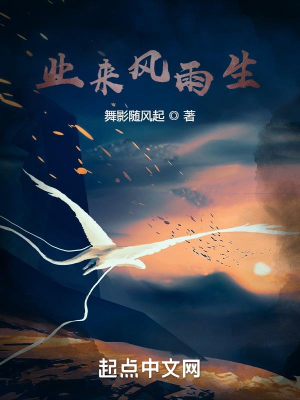 夜半风雨声