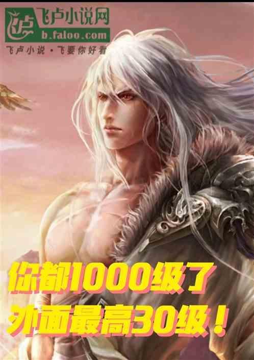你都1000级了外面最高30级是什么