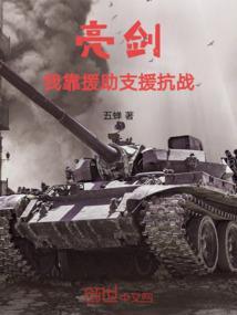 抗战亮剑援助军火的
