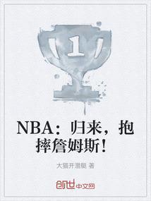 詹姆斯抱腿图