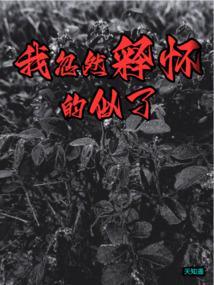 我突然释怀的笑是什么歌