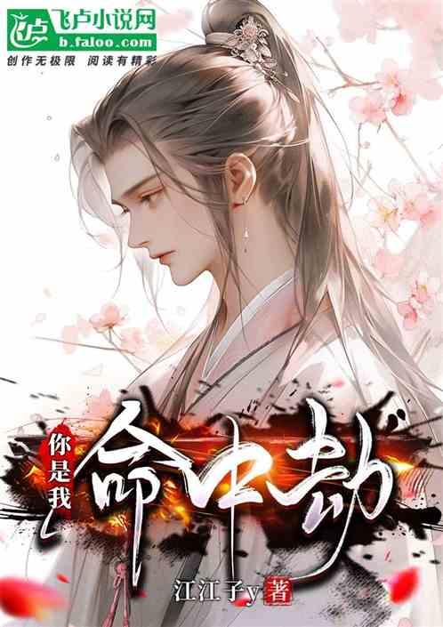 你是我命中的劫什么意思