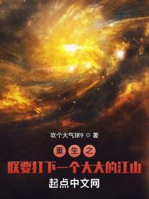 重生之朕要打下一个大大的江山无错版