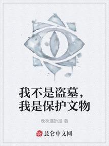 我不是盗贼