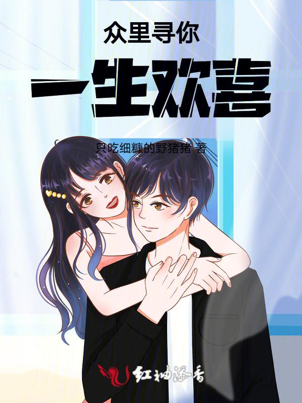 众里寻你歌词大意