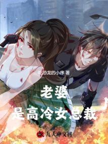 老婆高冷