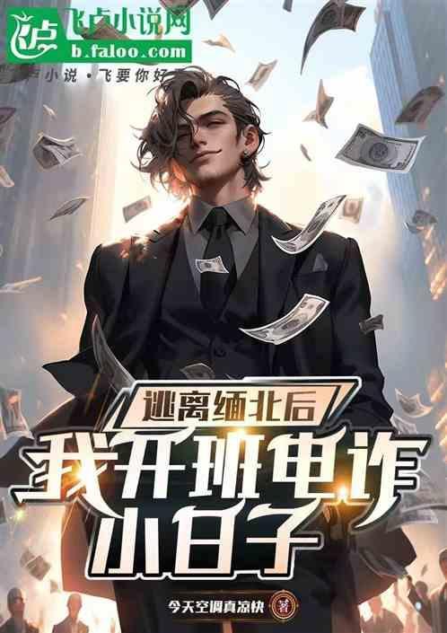 逃离缅北视频20