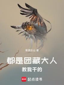 都是团藏大人教我干的什么