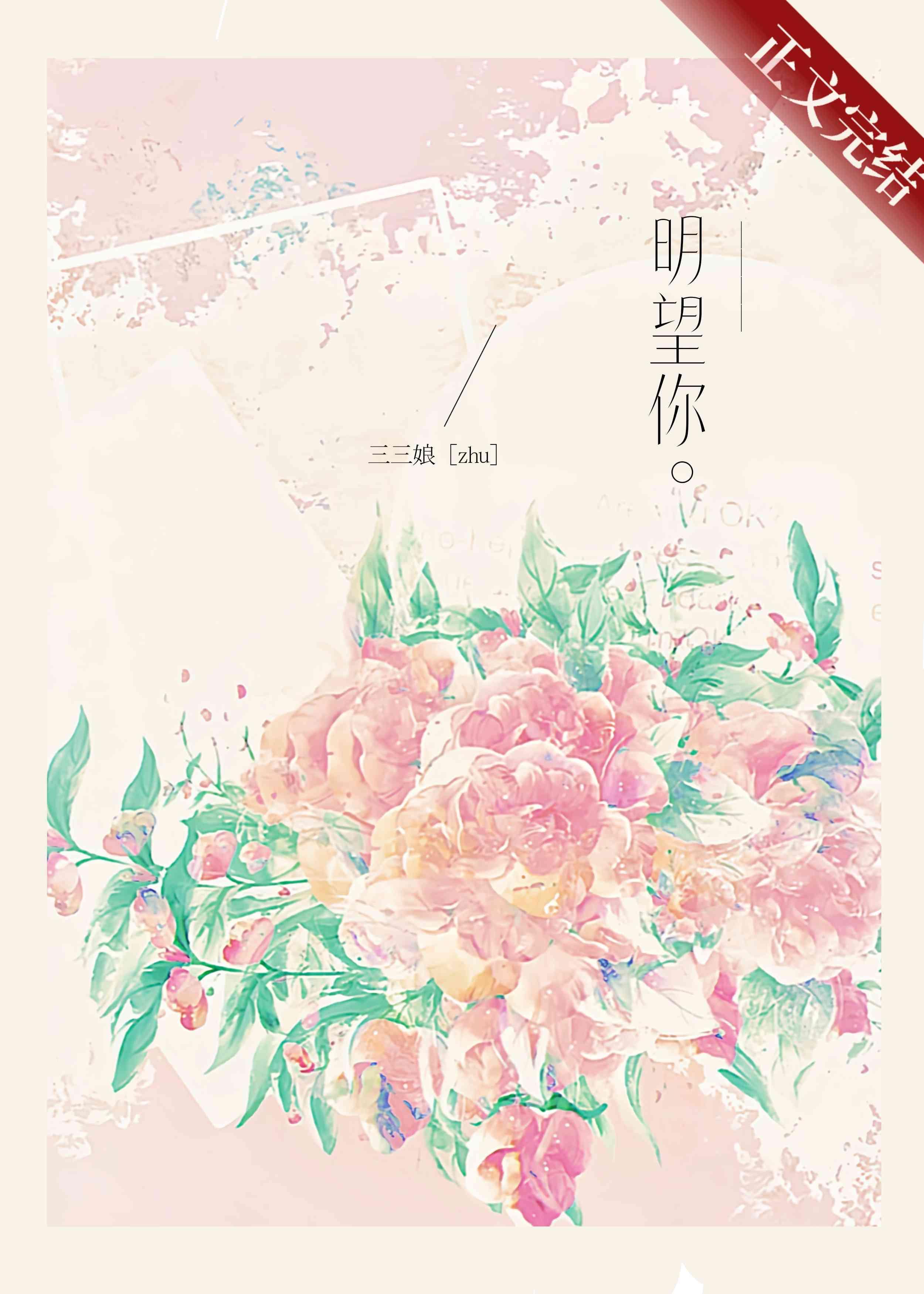 明望你三三娘免费阅读