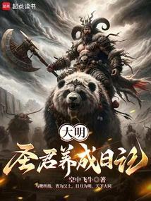 大明圣皇2