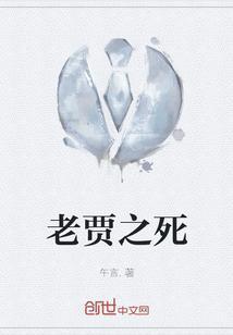 老贾简介