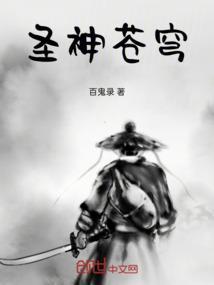 苍穹圣主免费