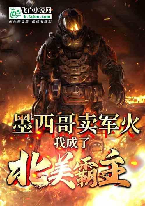 墨西哥的枪