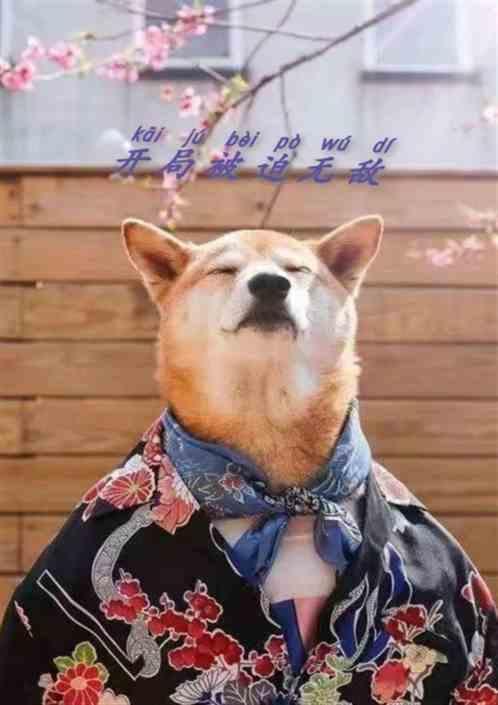 开局被迫娶师姐免费