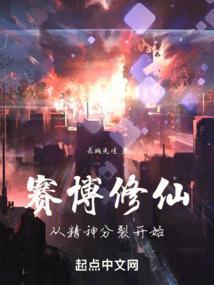 赛博修仙类