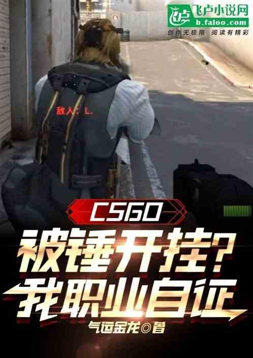 csgo职业选手开挂吗