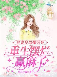 贤妻良母穿越