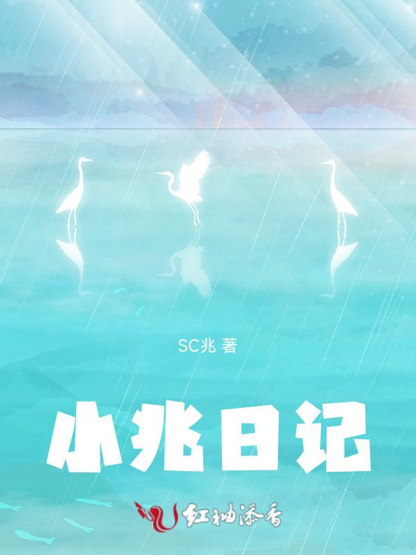 30篇小日记