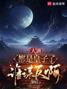大唐ws 皇子