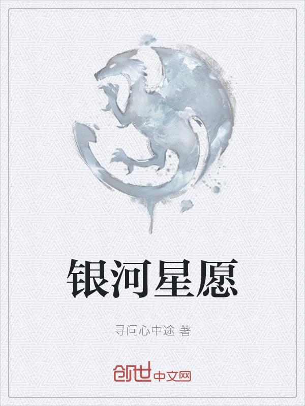 银河星愿车的评价