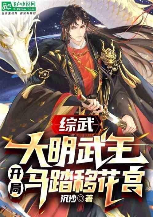 穿越大明综武世界