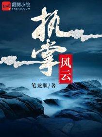 执掌风云免费阅读李青云