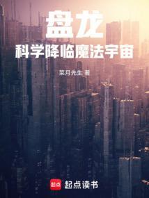 盘龙各系魔法