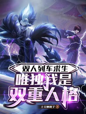 双人车啥意思