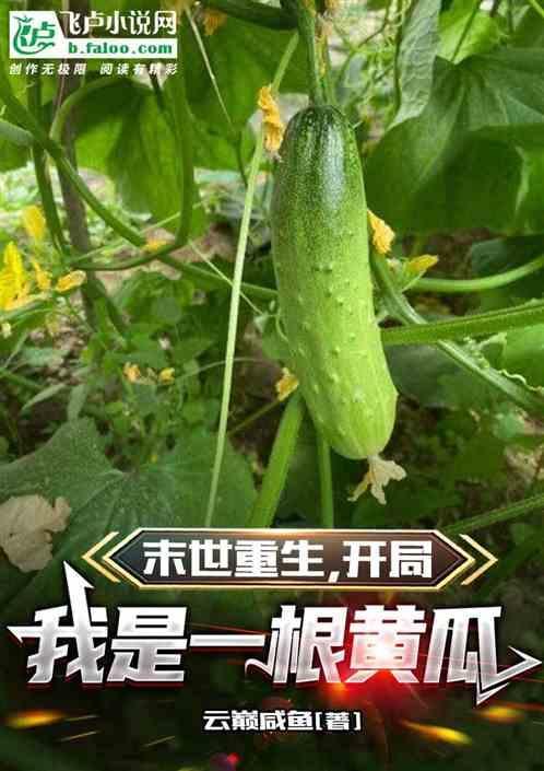 末世开局一个直播间43章