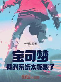 宝可梦系统流