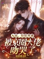 娇软乖乖被京圈大佬吻哭了()