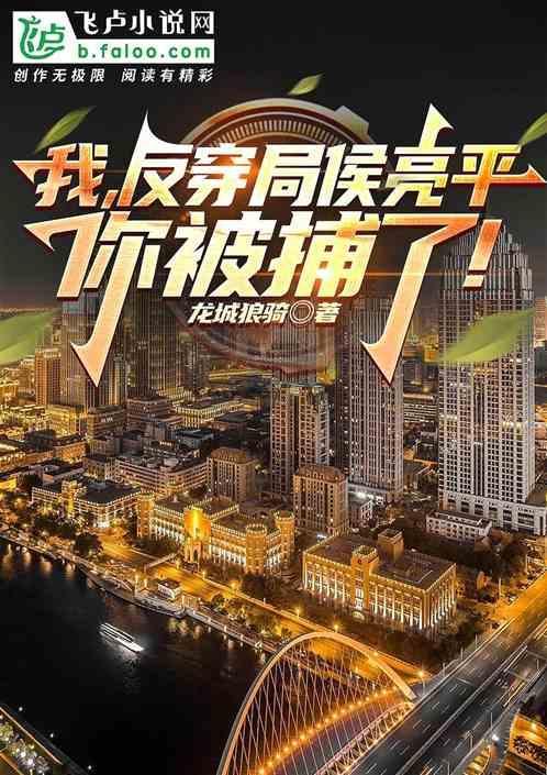 我是反贪局长侯亮平