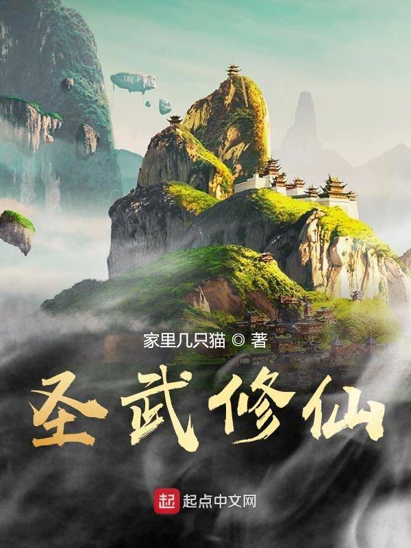 修武圣帝在线阅读