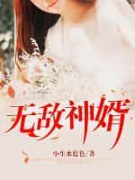 无敌神婿免费阅读