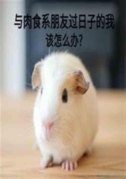 与肉食系公子哥在