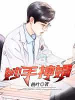 妙手医婿林漠