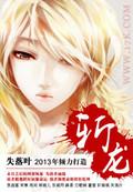 斩龙失落叶TXT