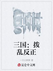 拨乱世反之正的反什么意思