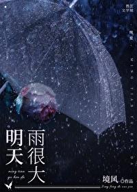 明天雨很大阅读