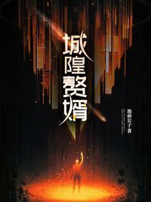 赘婿皇上是