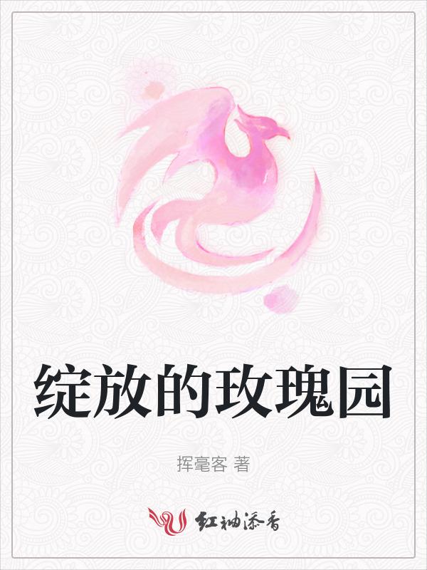绽放中的玫瑰