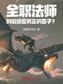 全职法师圣城是什么组织