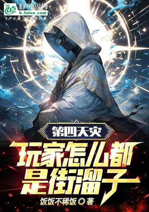 第四天灾玩家流大全