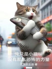 我就是只小猫咪