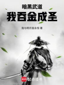 暗黑武道我吞金成圣免费阅读