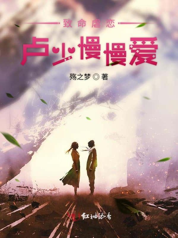 致命宠爱陆少的108