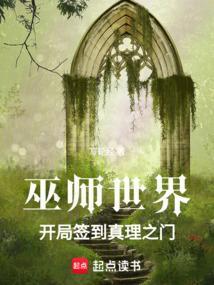 巫师世界之旅