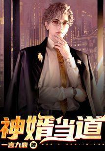神婿当道 一言九鼎
